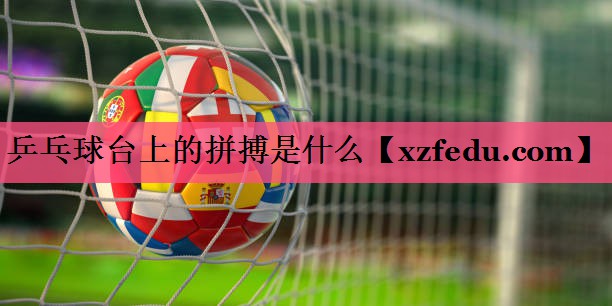 乒乓球台上的拼搏是什么