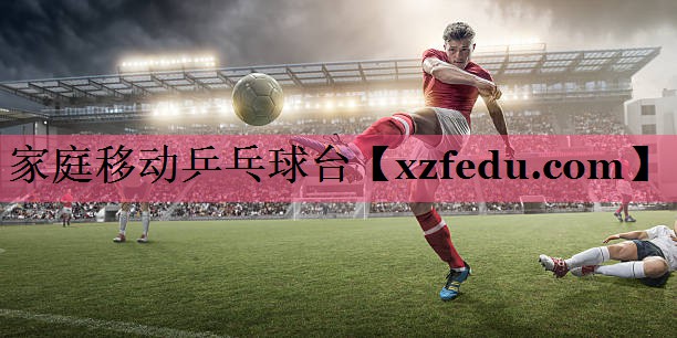 家庭移动乒乓球台