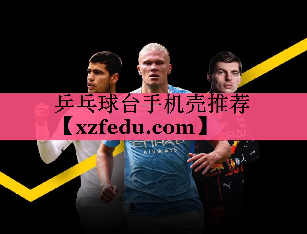 乒乓球台手机壳推荐