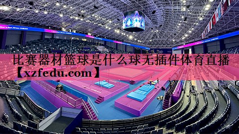 比赛器材篮球是什么球无插件体育直播
