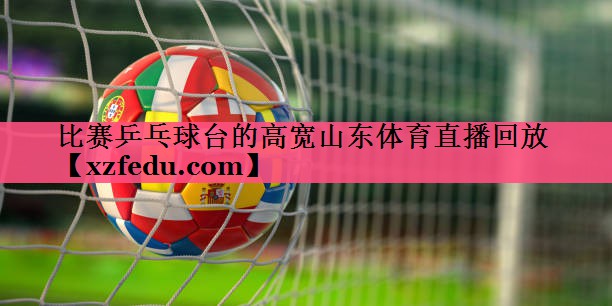 比赛乒乓球台的高宽山东体育直播回放