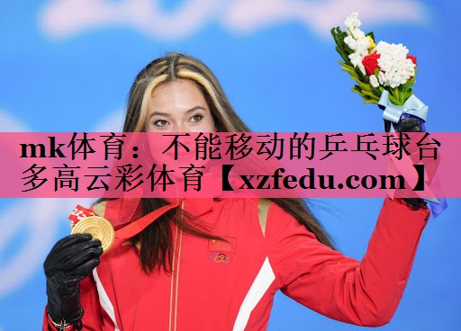 mk体育：不能移动的乒乓球台多高云彩体育