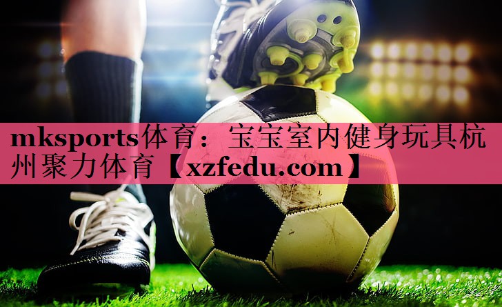 mksports体育：宝宝室内健身玩具杭州聚力体育