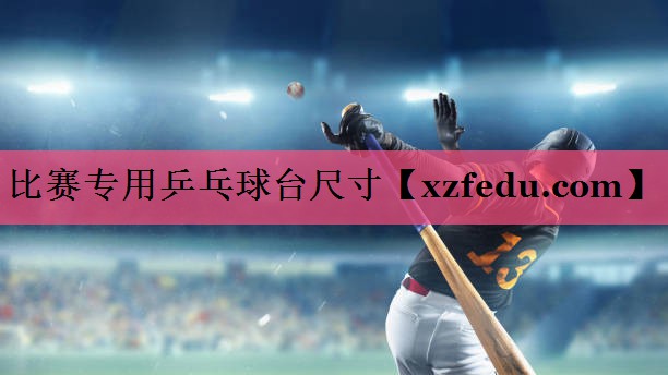 比赛专用乒乓球台尺寸